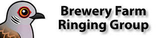 Brewery Farm Bird Ringing Group Logo