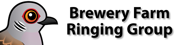Brewery Farm Bird Ringing Group Logo